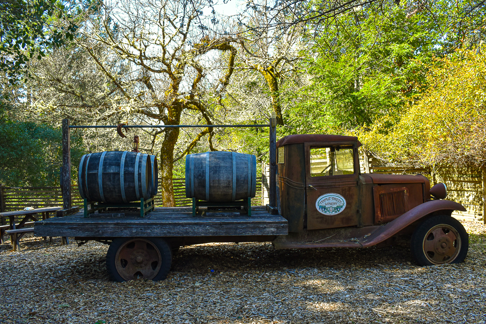 Wine Tasting in Mendocino California