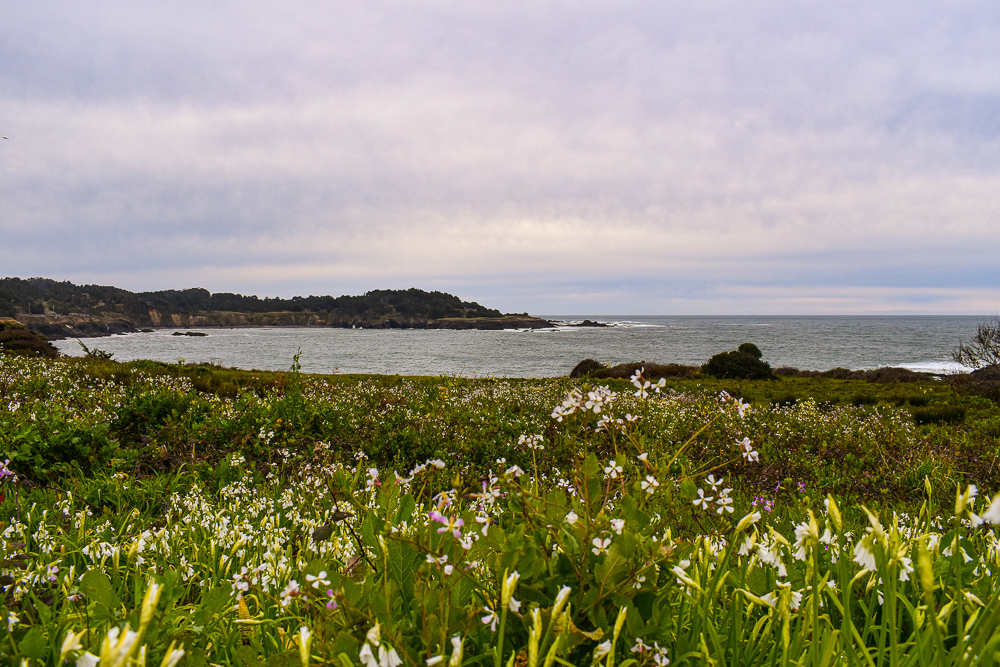 The coast of Mendocino California